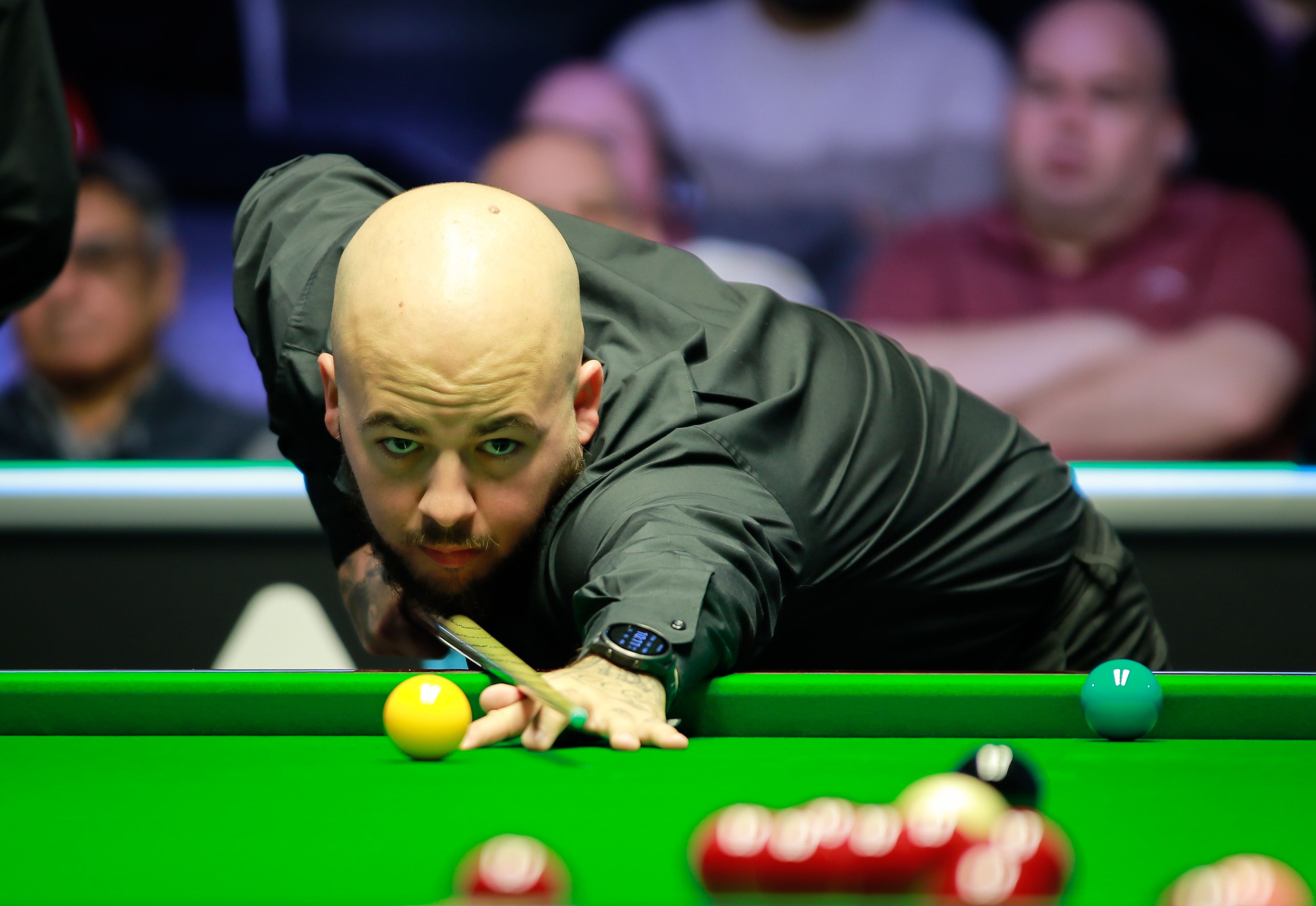 如此豪华的 如此豪华的